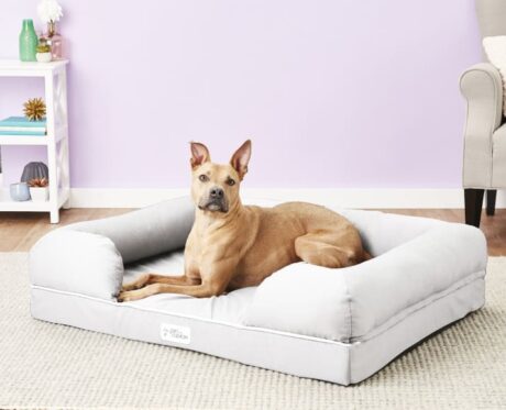ricky-new-2165
