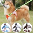 Harness And Leash Set