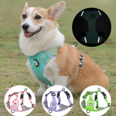 Harness