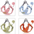 harness and leash set