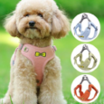 harness and leash set