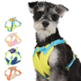 Harness Vest and Leash Set