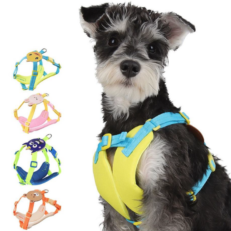 harness and leash set