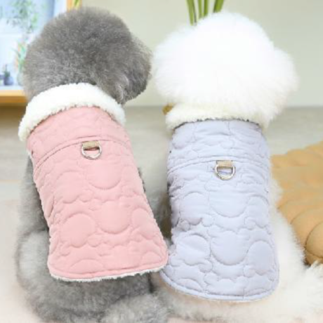 Dog Jacket Outfit