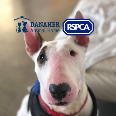 622_rspca-danaher