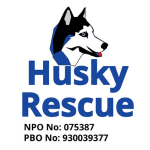 Husky-Rescue-150px-x-150px