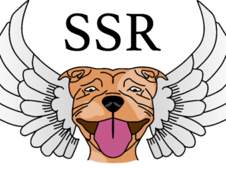 SSR-Dorset