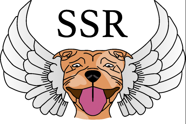 SSR-Dorset